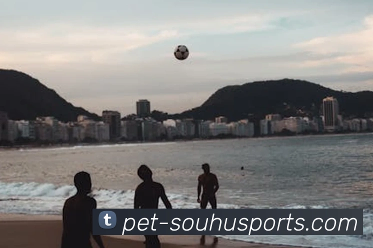 搜狐体育平台生态图