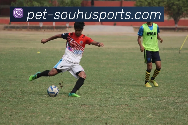 搜狐体育全站App